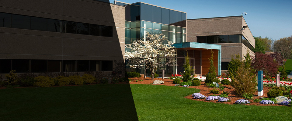 Sagamore Beach Landscapers