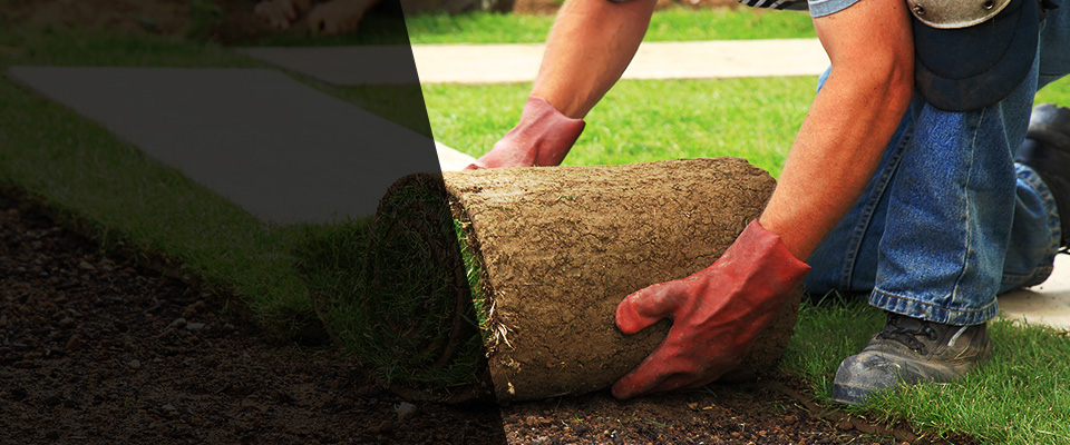 Sagamore Beach Landscapers